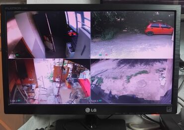 акустические системы dabs audio колонка в виде собак: Акита-ину, 1 месяц, Самка