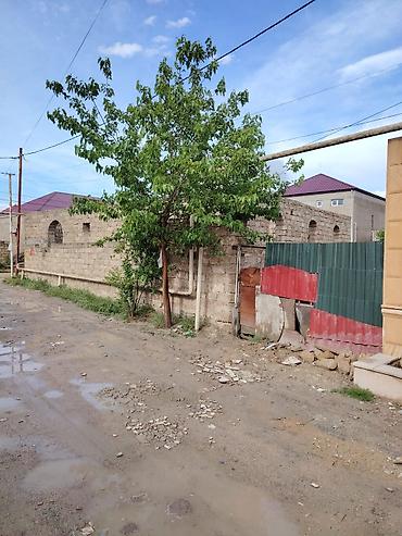 masazirda heyet evleri 2024: Satılır: yarımçıq tikili və həyət sahəsi - Material: daş hörgü - — 10