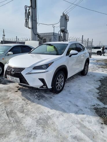 элантра 2019: Lexus NX: 2019 г., 2 л, Автомат, Бензин, Кроссовер