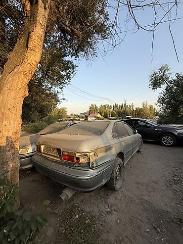 kia carnaval: Разбор Honda Accord (европейка), поколение 1993–1997. В наличии и под — 1