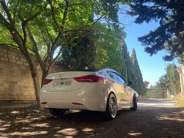 Hyundai: Hyundai Elantra: 1.8 l | 2011 il Sedan — 7