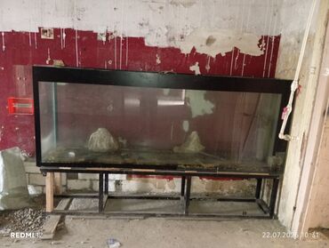 Akvariumlar: Dördbucaq akvarium, Boş, 500 l, Ünvandan götürmə