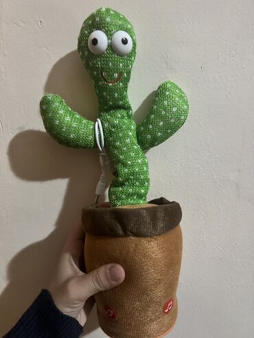 oxuyan kaktus: Kaktus oyuncaq teze alinib isledilmediyi ucun satilir. tezedir.10 azn
