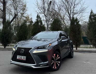 Lexus: Lexus NX: 2018 г., 2 л, Автомат, Бензин, Кроссовер