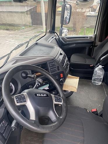 Тягачи: Тягач, DAF, 2019 г., Тентованный — 10