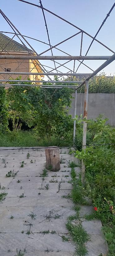 atmalar: Hazir ferma navesdi rusun demirleridi pasi yoxdur ela vezyetdedi hazir — 3