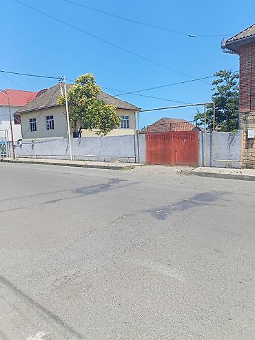 neapol dairesinde kiraye evler: 4 otaqlı mənzil 140кв - Geniş və işıqlı zal: divarları açıq yaşıl — 7