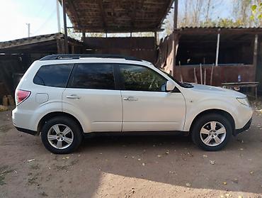 авто присеп: Subaru Forester: 2009 г., 2 л, Механика, Бензин, Кроссовер — 3