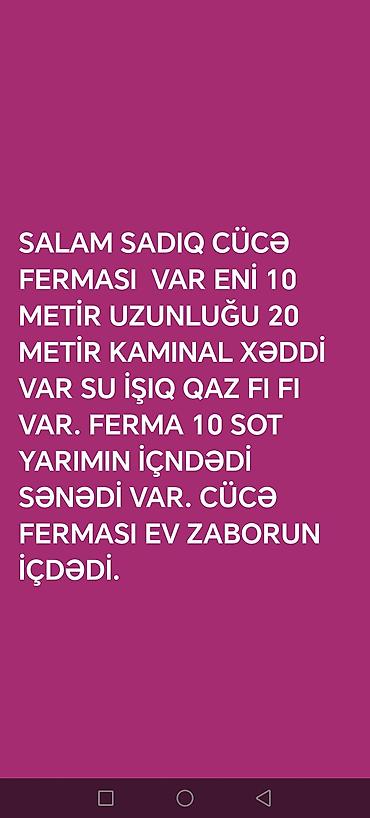 Metal məhsulları: Cücələri bəsləmək üçün tam təchiz olunmuş ferma obyektı. - Ölçülər — 1