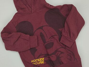 kombinezon jesieńny: Sweatshirt, Disney, 7 years, 116-122 cm, condition - Fair