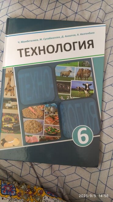 геометрия атанасян: Учебник «Технология» для 6 класса. Авторы: Ч. Мамбеталиев, Ж
