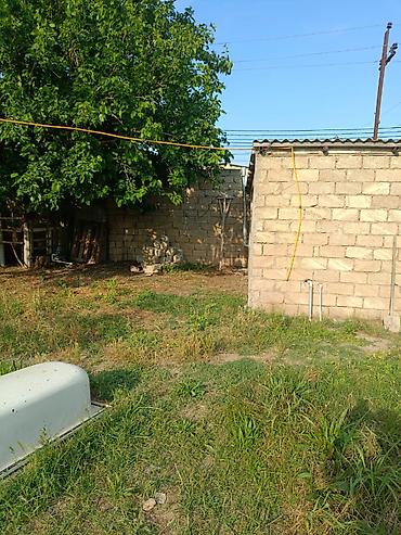 maştağa: Sabunçu r-nu, Maştağa qəsəbəsində, 186N marşrutun yolundan 50–60 m — 1