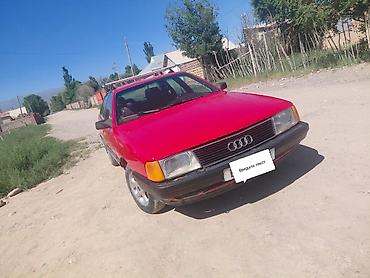 Audi: Audi 100: 1991 г., Кол менен иштөөчү, Седан — 1