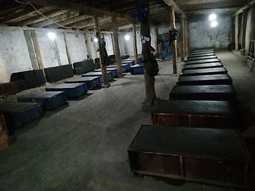 фуд корд: Газа блок аппараты сатылат кызыкандар чалгыла — 3