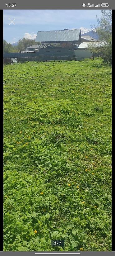 Продажа барачных домов: Продаю дом с участком 20соток, поделён на 2 участка пополам по 10 — 6