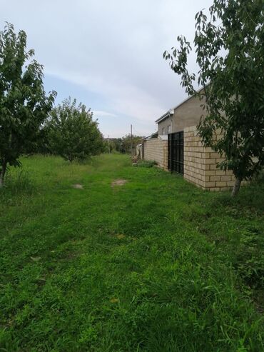 Torpaq sahələrinin satışı: 12 sot, Tikinti, Mülkiyyətçi, Kupça (Çıxarış) -da lalafo.az — 2 Torpaq sahələrinin satışı: 12 sot, Tikinti, Mülkiyyətçi, Kupça (Çıxarış) — 2