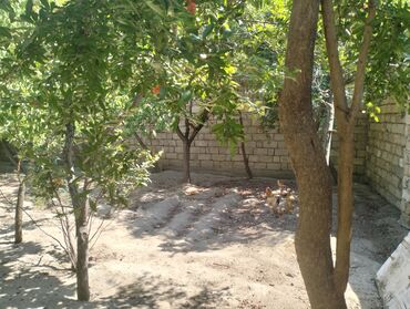 Günlük kirayə evlər: 3 kv. m, 6 otaqlı, Qaz, İnternet, Artezian quyusu -da lalafo.az — 2 Günlük kirayə evlər: 3 kv. m, 6 otaqlı, Qaz, İnternet, Artezian quyusu — 2