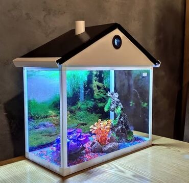 akvarium isiqlari: Geyri adi,unikal dizayna malik akvariumlarin satishi.Ad gunlerine