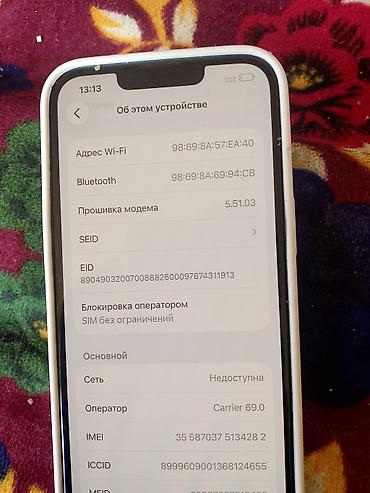 Apple iPhone: IPhone 13 mini, Голубой, Чехол — 4