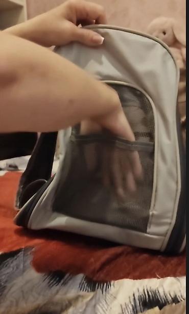 Зоотовары: Ev heyvanları üçün daşıma çantası/backpack tipli daşıyıcı. Açıq boz — 7