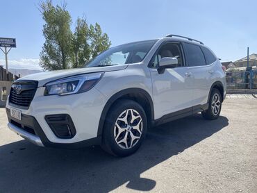 субару форестер 2018: Subaru Forester: 2019 г., 2.5 л, Вариатор, Бензин, Кроссовер