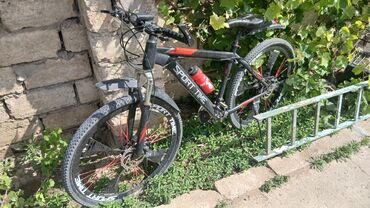 Şəhər velosipedləri: İşlənmiş Şəhər velosipedi 29"