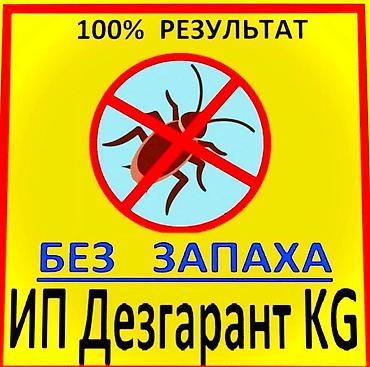 Клининговые услуги: Дезинфекция, дезинсекция, | Клопы, Блохи, Тараканы, | Транспорт, Офисы, Квартиры — 1