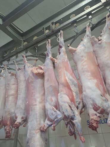 Мясо: Баранина : Лопатка, Более 10 кг — 4