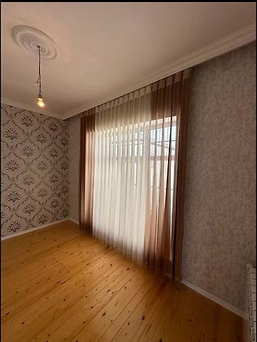 jalüs: Yeni, Tül, rəng - Qəhvəyi, Pulsuz çatdırılma — 4