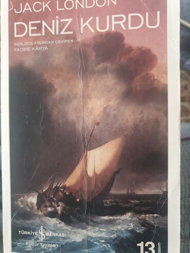 Martin Eden - Deniz Kurdu