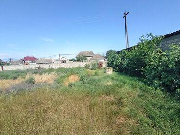 Torpaq sahələrinin satışı: 12 sot, Kupça (Çıxarış) — 6