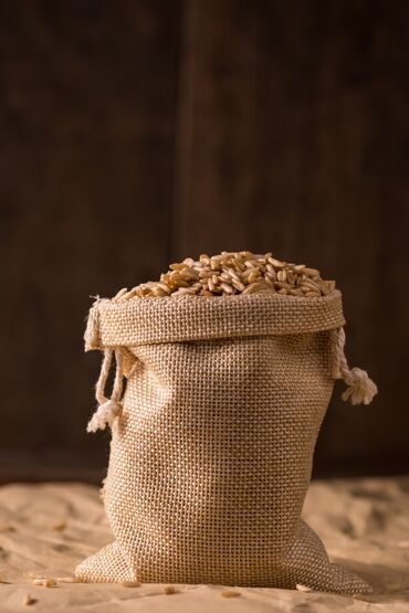 куплю пшеницу на корм: Ячмень Арпа фасованный в мешках 40 мешков оптом