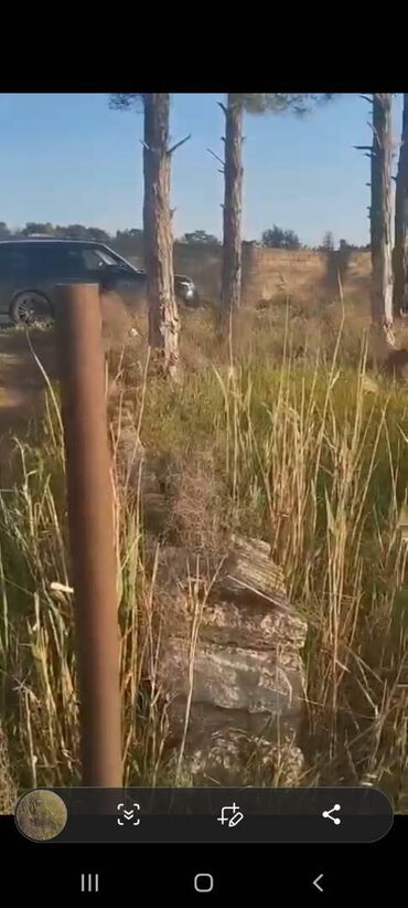 Torpaq sahələrinin satışı: 14 sot, Kənd təsərrüfatı, Mülkiyyətçi, Bələdiyyə — 8