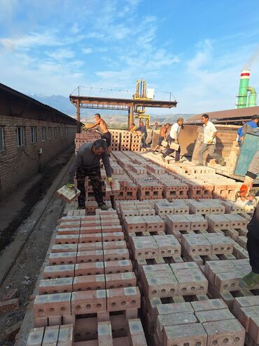 Строительный кирпич: Пустотелый, дырчатый, Жженый кирпич, Одинарный, 250×120×65 — 5