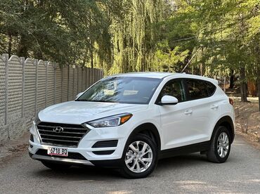 купить диски на машину бу: Hyundai Tucson: 2019 г., 2 л, Автомат, Бензин, Кроссовер