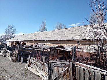 Продажа коттеджей и домов: ПРОДАЁТСЯ ДОМ С УЧАСТКОМ 1 ГЕКТАР В СЕЛЕ Григорьевка (район пристани) — 1