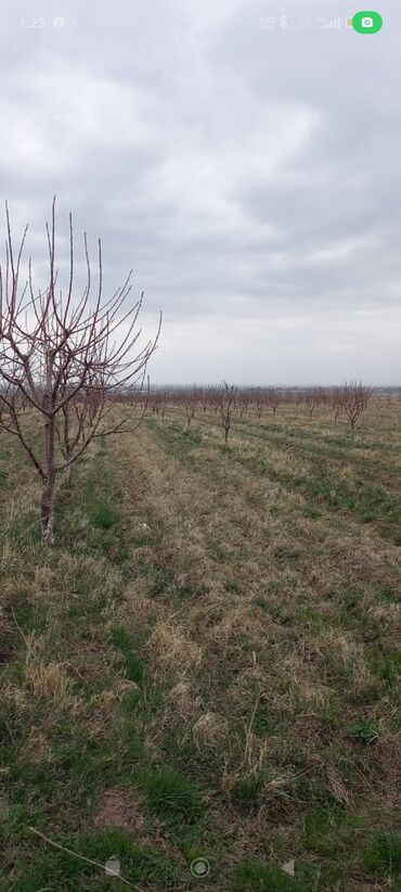 Продажа участков: 4 соток, Для сельского хозяйства