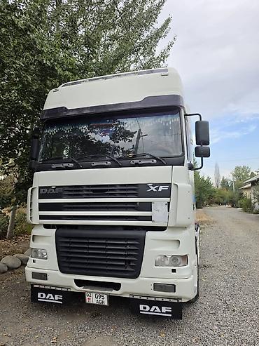 куплю мега прицеп: Тягач, DAF, 2005 г., Без прицепа — 4