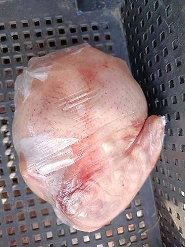 Курица: 🔥 Продаю фермерских бройлерных кур (охлажденка+замороженные тушки) 🔥 💰 — 8