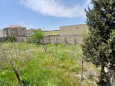 fr emlak: 8 otaq, 250 kv. m, Kredit var, Təmirsiz — 7