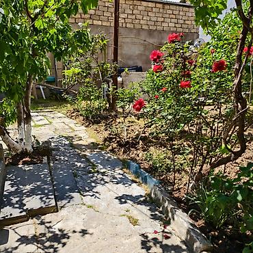 Köhnə tikili: Xırdalan, 2 otaqlı, Köhnə tikili, 56 kv. m — 11