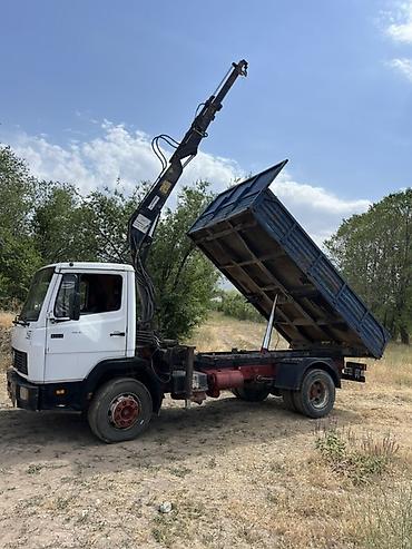 Манипуляторы: Манипулятор, Mercedes-Benz — 4