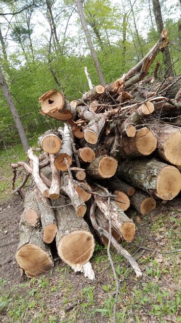 снять посуточно однокомнатную квартиру: 8 м², 2 комнаты, Забор, огорожен