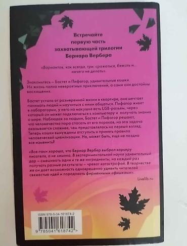 Bədii ədəbiyyat: Rus dilində kitablar Книги "Девочка которая не видела снов" Сара Бет — 4