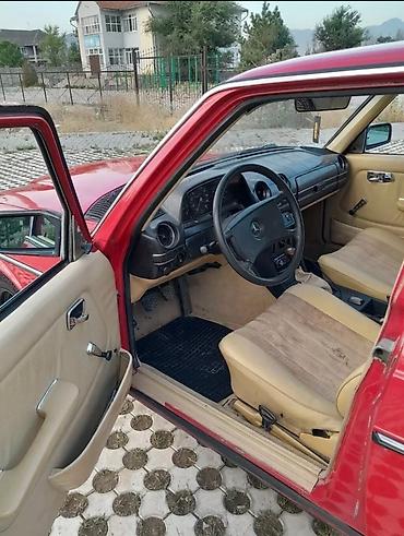 на мерс 123: Mercedes-Benz W123: 1981 г., 2 л, Механика, Дизель, Седан — 2