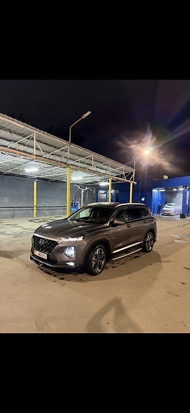 стекло на матиз: Hyundai Santa Fe: 2019 г., 2 л, Автомат, Дизель, Кроссовер — 2