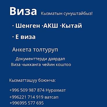 visa: Услуги оформления виз - Шенген, США, Китай - Электронные визы — 1