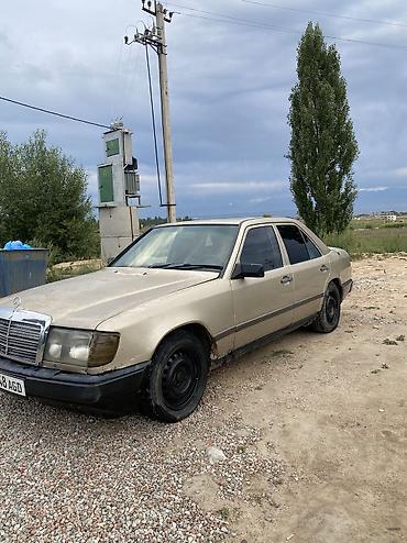 купить мерс с: Mercedes-Benz W124: 1987 г., 2.3 л, Механика, Бензин, Седан — 2