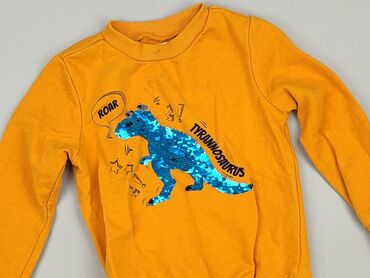 Sweatshirts: Sweatshirt, SinSay, 3-4 years, 98-104 cm, condition - Good