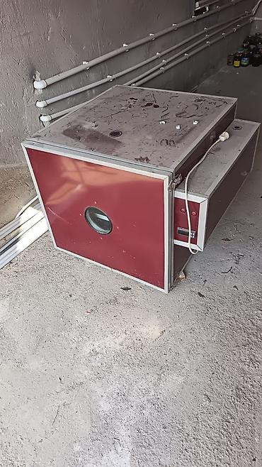 inkubator aparati satilir: Bütün növ quşlar üçün — 2
